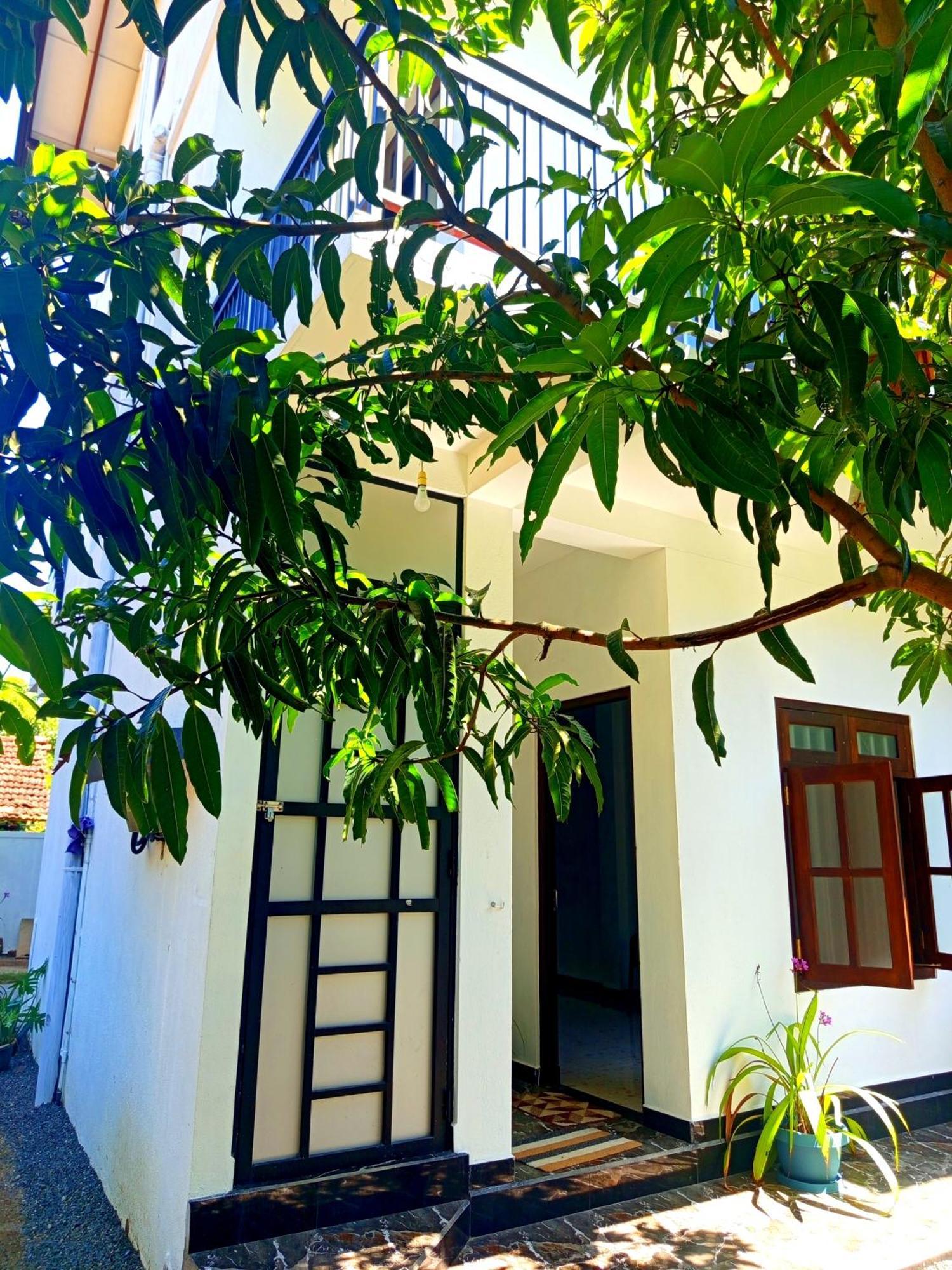 Olu Bunk Apartment Dikwella Exterior foto